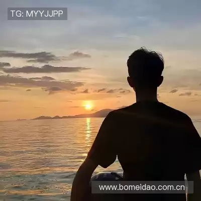 申英芝